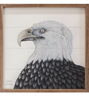Bald Eagle By Robin Sue Studio